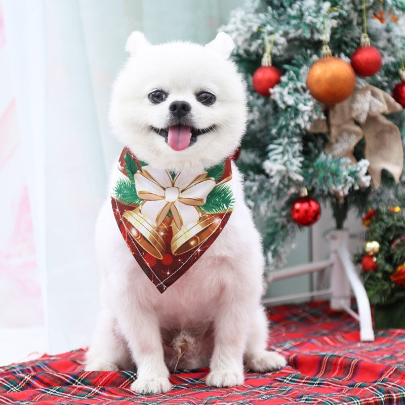 Santa Bandana