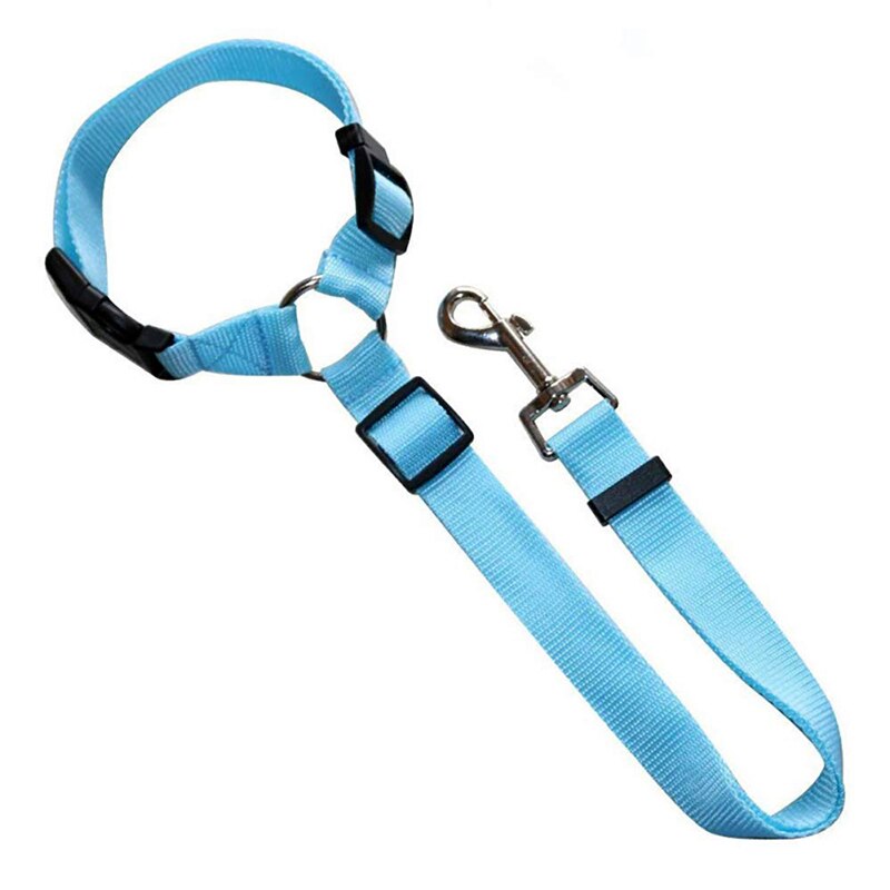 Light Blue Seat Belt & Leash