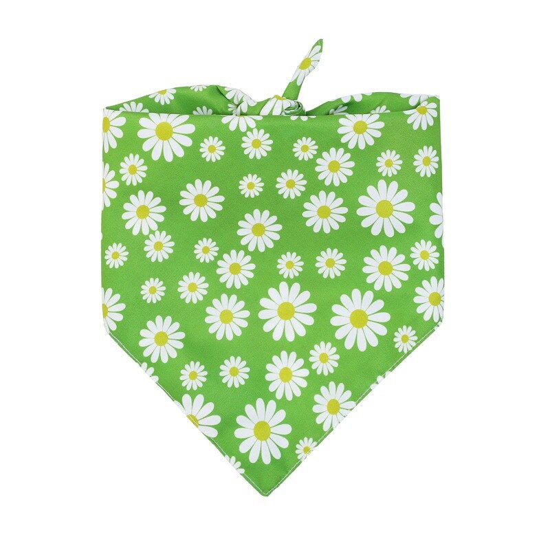 Chrysanthemum Bandana