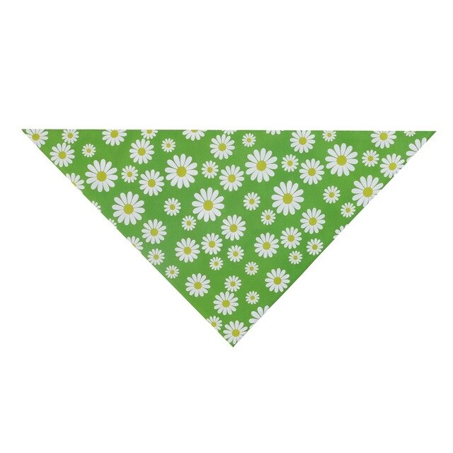 Chrysanthemum Bandana