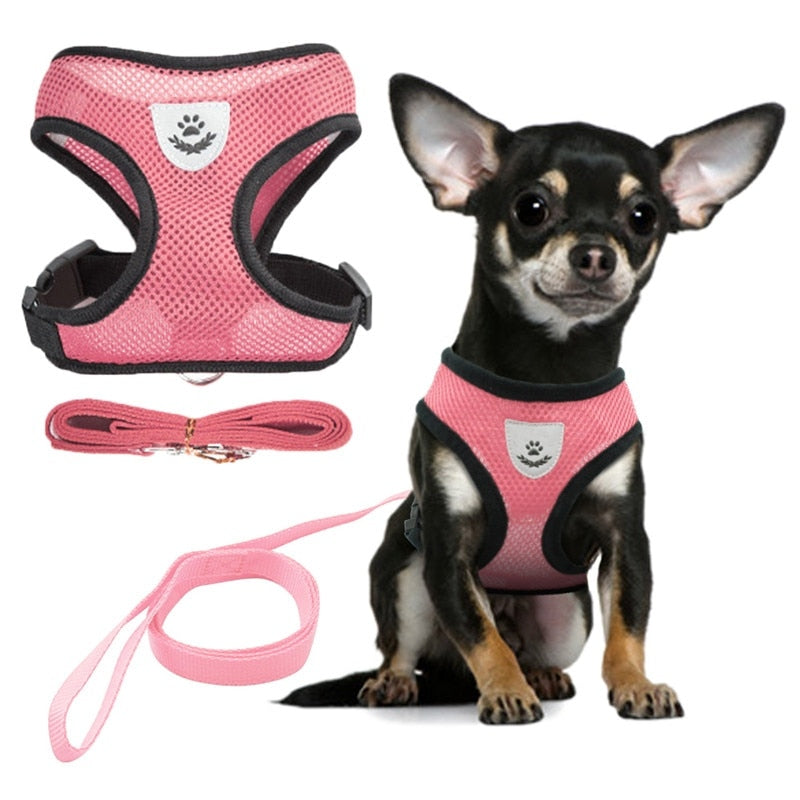 Adjustable Pet Harness